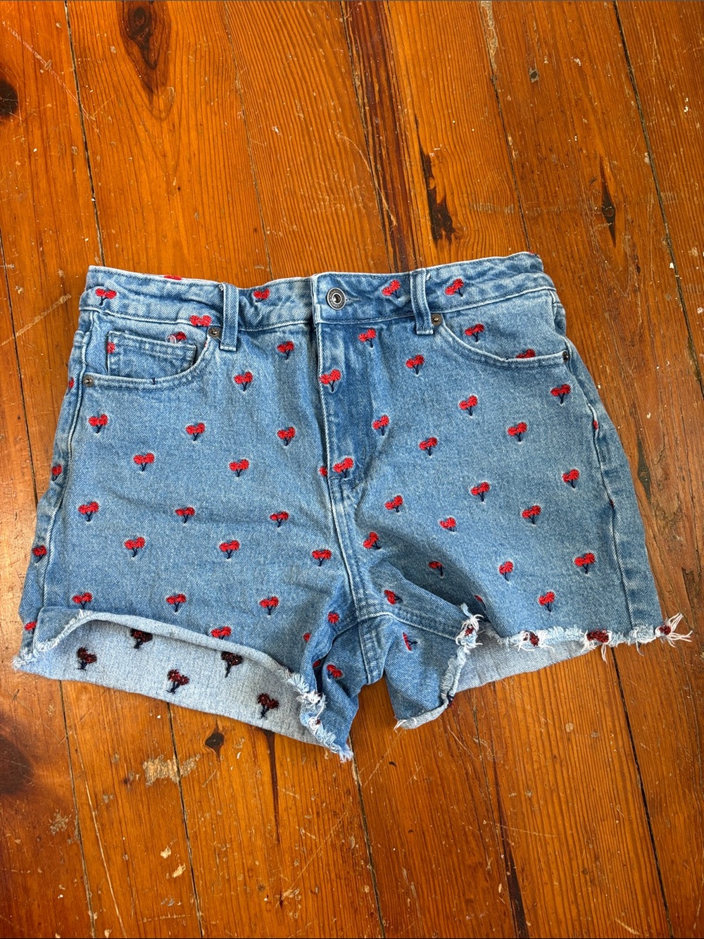 Flag & Anthem Embroidered Floral Denim Shorts Blue Red Flowers Size 6 28